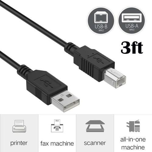 Cavo usb piedi per - usb, 3
