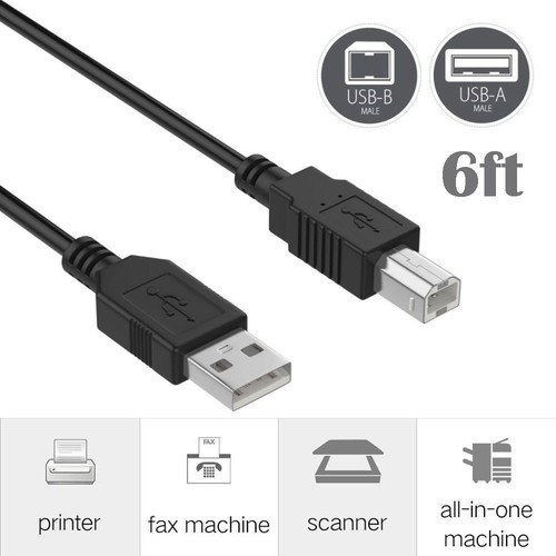 Cavo usb piedi - usb, 2.0